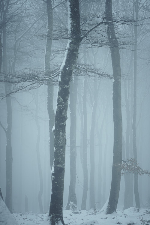 Elurra Opakuan / Snow in Opakua.Pic sources: 1, 2 &amp; 3