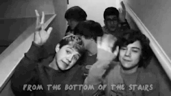 Los amo con todo mi ser 