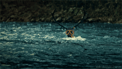 ask-doctor-lecter:original concept found here [x]muoio