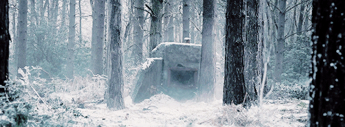grootmorning:wtf just happened.gif