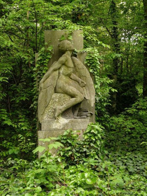 sixpenceee:   Kerepesi Cemetary: (“Fiume Road National Graveyard”) is the most famous cemetery in Budapest. It is one of the oldest cemeteries in Hungary which has been almost completely preserved. These photos are of a still abandoned area in the