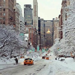equated:  NY in winter ♡ on We Heart It.