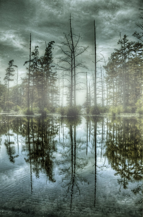 libutron:  heyfiki:  Foggy Lake by joelht74  (Lake Conway, Mayflower, Arkansas, US)