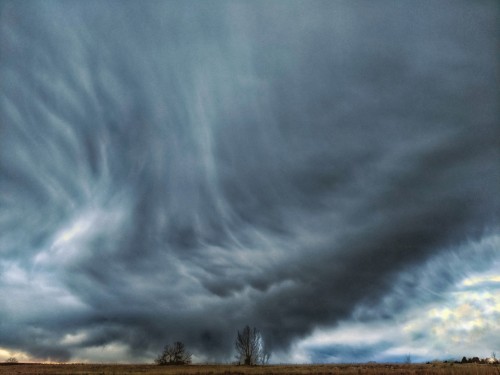"No Hand Can Grasp The Wind."