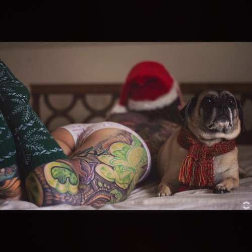 damselsuicide:  “Whatchyu talkin bout Santa?” - Penelope Puggle 😳🎄🎅 (photo by @alpalshmal)