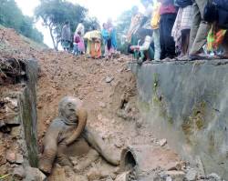 allcreatures:   This baby elephant landed itself in a right old mess after falling down a railway embankment. Stuck fast in the muddy ravine, its attempts to get free failed time and again. Luckily, a train was passing by and passengers, upset to see