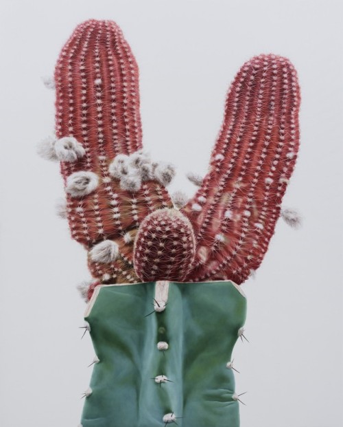 Lee Kwang-Ho And His Oil Paintings of The Wild CactusLee Kwang-Ho, an artist specializing in hyperre