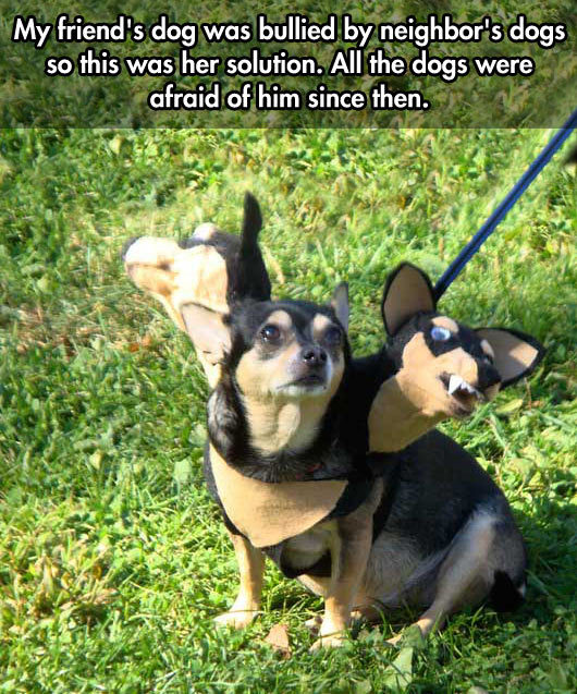pleatedjeans:  via