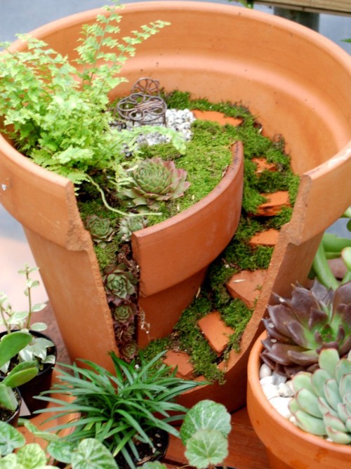 soapdeli:  A super cute DIY from Natureworks for upcycling a broken terracotta pot into a fairy garden! 