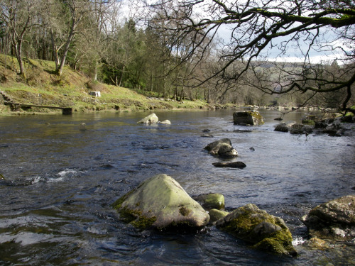 A Fly Fishing Woman