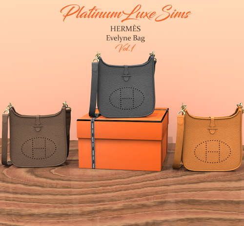  HERMÈS Evelyne Bag - Vol.1Deco Object | 5 Swatches.(Accessory version coming soon!)DOWNLOADPatreon 