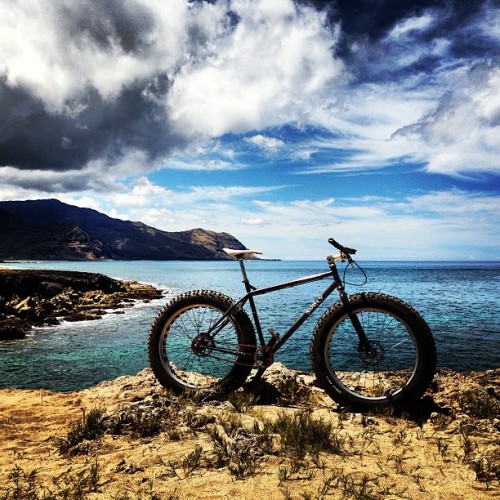crazysincethe80s:  #zmm #bikes #fatbike #moonlander #hawaii