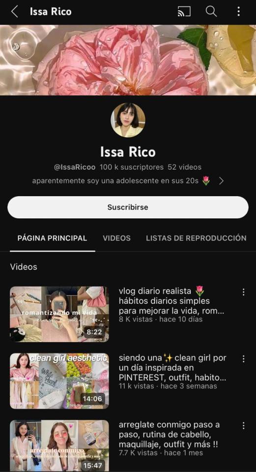 Cuentas De Vlogs.
