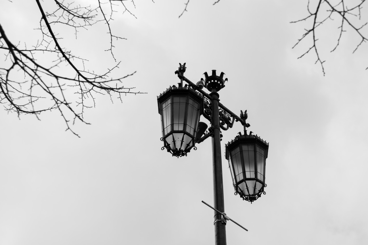 coelhophotography:  coelhophotography 