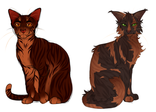 wolfmarrow:Brambleclaw and Tawnypelt