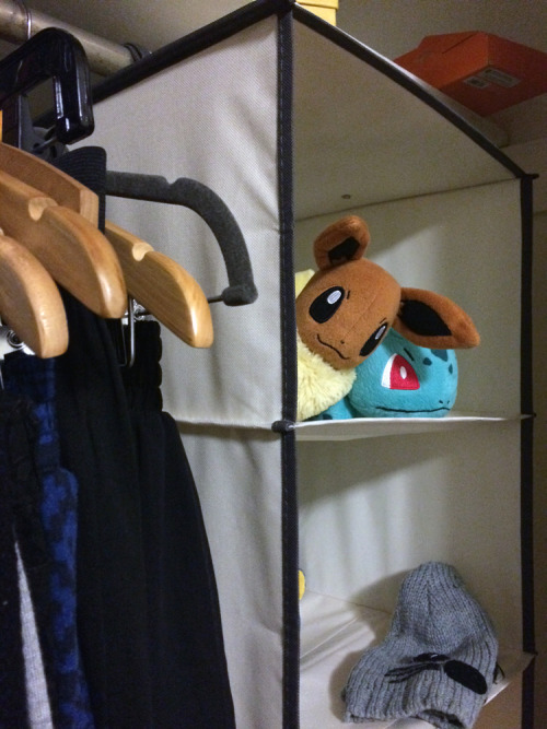 pokecreepers:Walked in my room and found Eevee peeking over. Hello there!