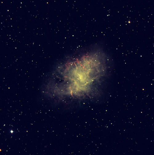 BU grad student Matt Young captured this image of the Crab Nebula, the remnant of a supernova in the