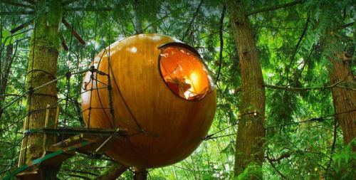 thedesigndome: Hotels Shaped as Treehouse We have all wanted a treehouse in our childhood days, our 