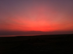 raytings:  at the Dead Sea today, on the