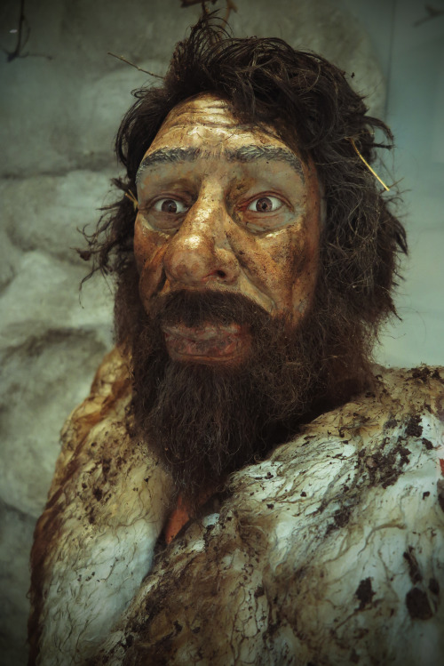 Neolithic and Mesolithic Creative Photo Edits, East Riding Museum, Hull, June 2015.