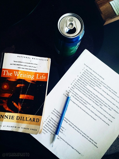 The Writing Life.