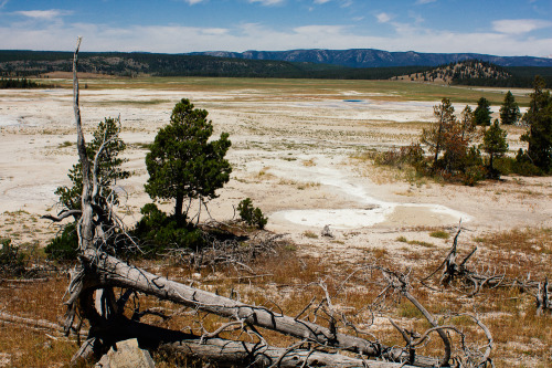 Yellowstone, Wyoming.