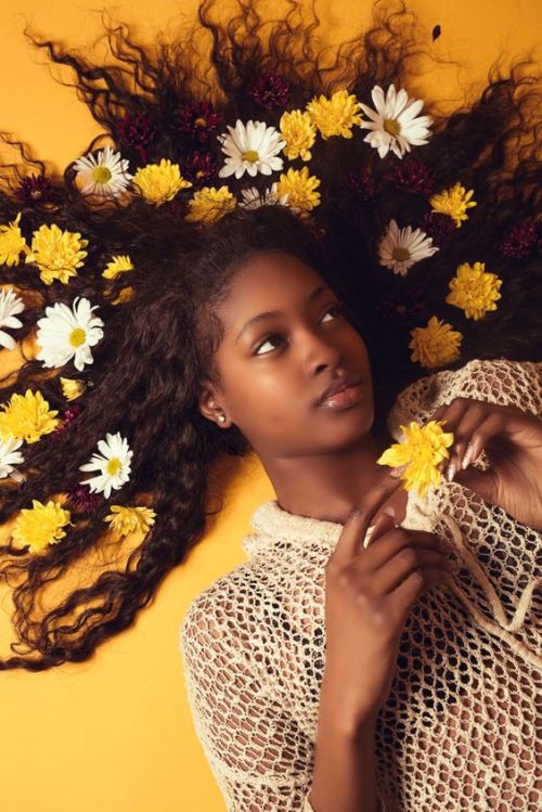 nova-rose-greene - Nova Rose