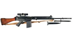 peashooter85:Belgian Fabrique Nationale FAL, adult photos