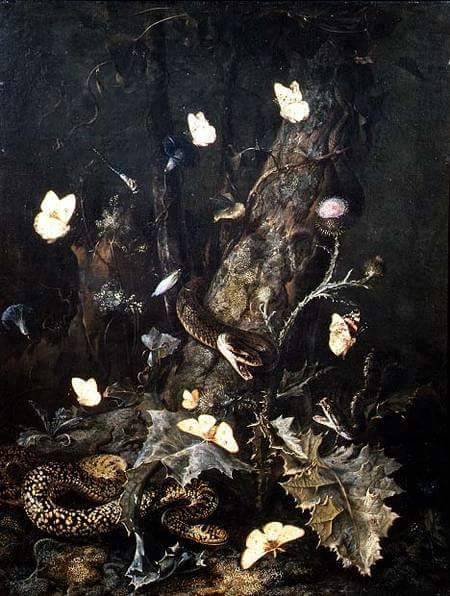 seasons-in-hell:Otto Marseus van Schrieck (1619-1678), Forest Floor with Snakes and Butterflies, 167