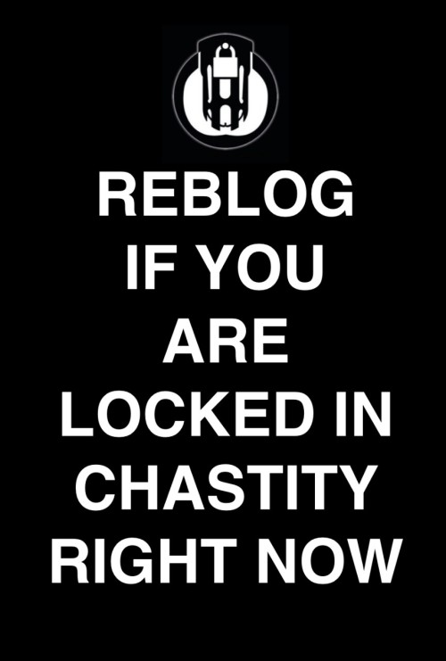 jc7210: quest51a:  cocklocked69:  megatoy-is-back:  lockedboi:  Locked n throbbing. Chastity and tum