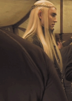 My sunny day! My beloved King!
I’m going to work, I’ll be back tomorrow. Big party.
I love you all #Team Thranduil