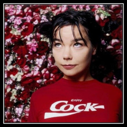 adhemarpo:  Björk 