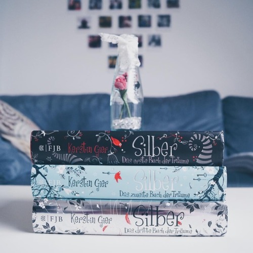 What are you reading this weekend? ☺ • The “Silber trilogy” is a series I’ve been 