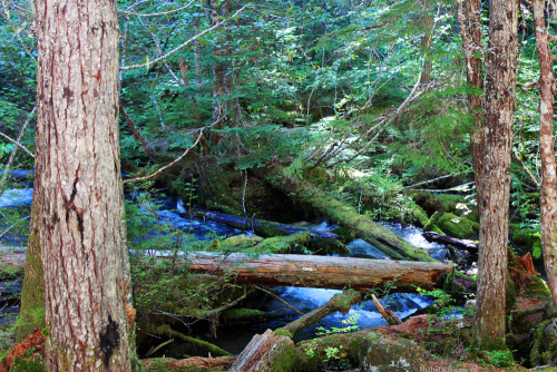 bright-witch:    Mountain Sunbeams, photography by me. Please do not remove credit!   