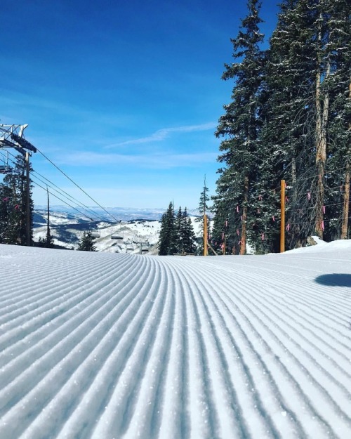 Finding the right groove . . . #skiing #vail #colorado #blueskybasin #backbowls #groomed #sunrise #s