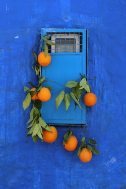 thisismywastedtalent:  Orange Juice, Chefchaouen,