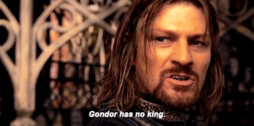 LORD OF THE RINGS: FELLOWSHIP OF THE RING