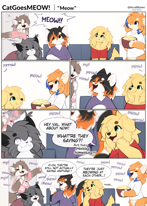 Meow Meow Meow Meow