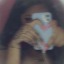 xxspowiedz