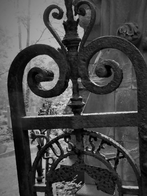 skull-designs:Sussex. It says Sussex.Extra Mural Cemetery, Brighton, East Sussex.