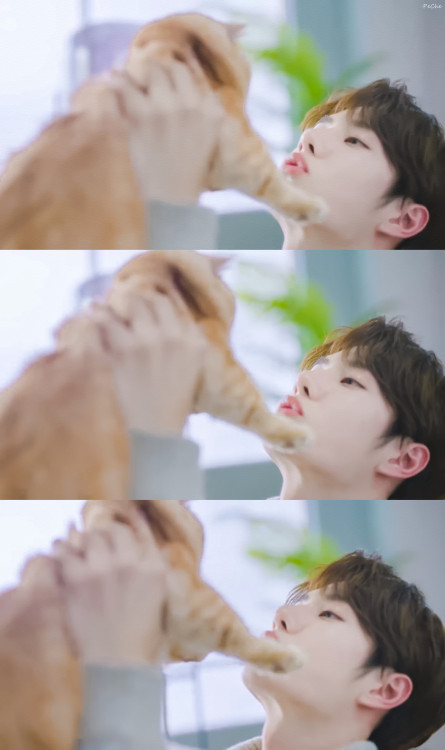 Cute Yibo &amp; Cute Cat Cr: logo 王一博 · Wang Yibo · หวังอี้ป๋อ · 왕이보 · ワンイーボー · VươngNhấtBác · @yibo