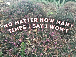 burninglilacs:  Cough It Out // The Front Bottoms