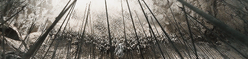 xavierstea:Beautiful Cinema - The Two Towers 