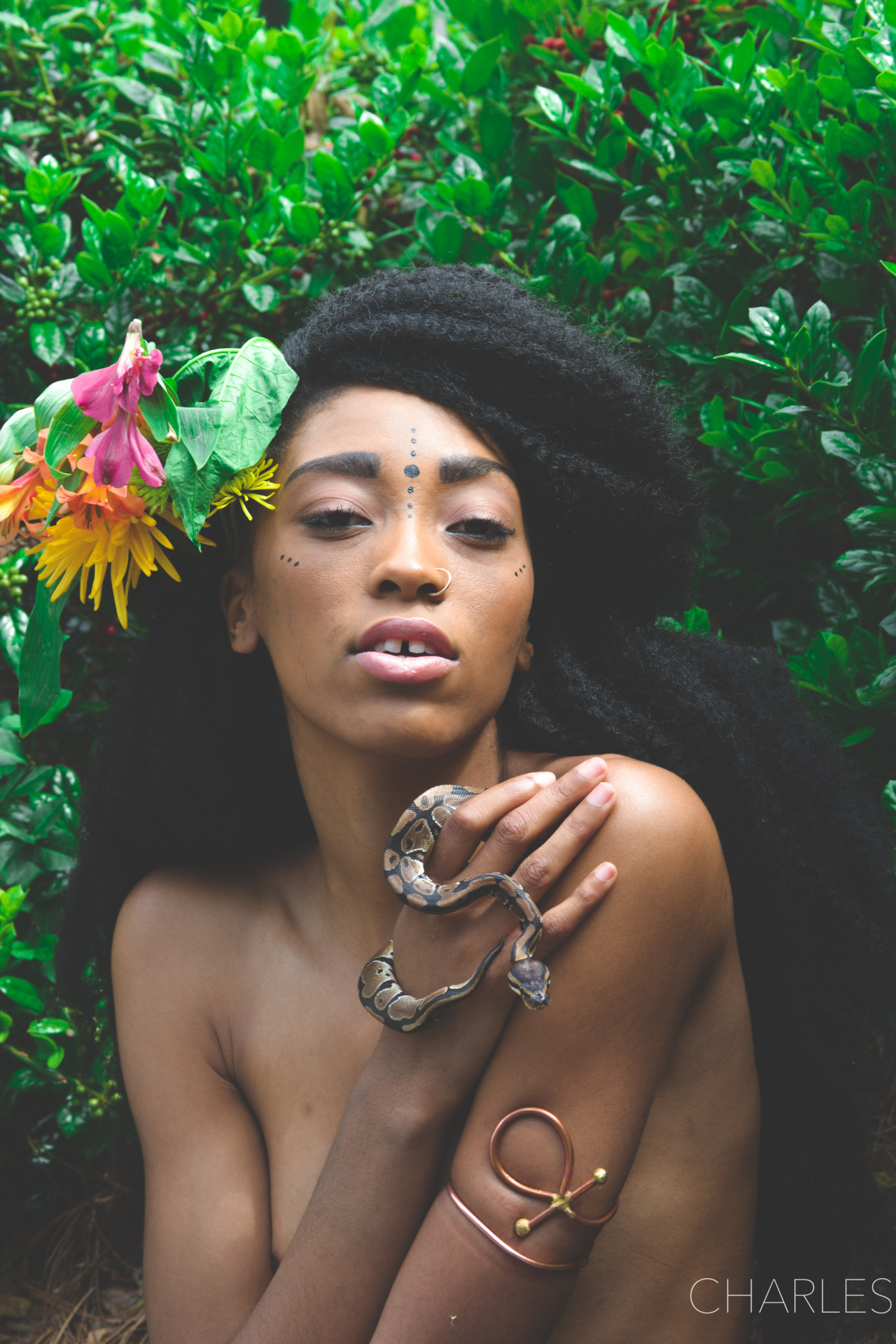 lasergunsandcongodrums:  Garden of Eden Photography by Spencer Charles 