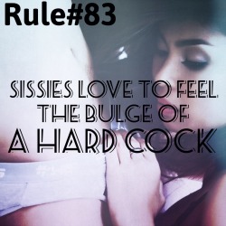 sissyrulez:  Rule#83: Sissies love to feel the bulge of a hard cock 