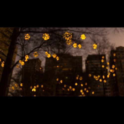 Fireflies in December #rittenhousesquare #Philadelphia #Philly #whyilovephilly #panorama #pano #ritt