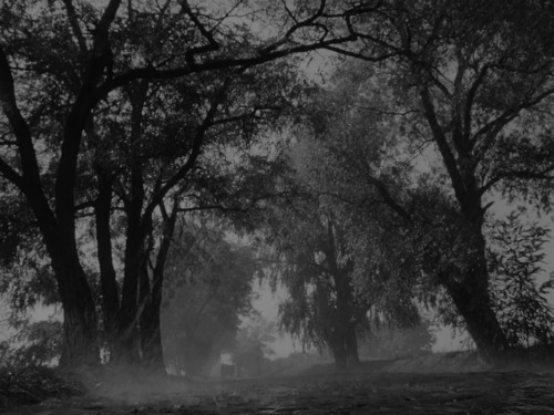 maxwellbul:    Ivan’s Childhood (1962), Director: Andrei Tarkovsky, DP: Vadim Yosov   