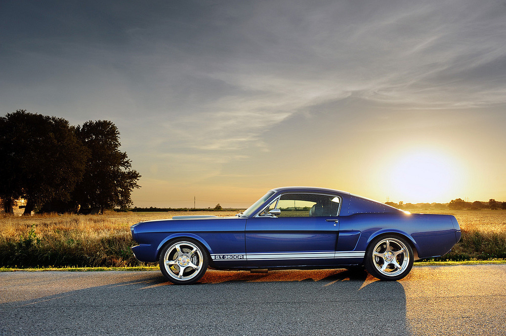 Muscle Cars Fans
