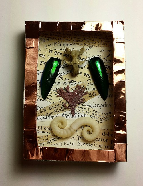 A miniature curio cabinet shadowbox collage/assemblage I  made. See more on facebook.com/demonkittyd