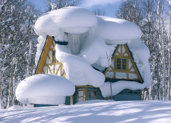 tselentis-arch-blog:Snow blobs in Niseko-cho, Hokkaido Prefecture, Japan [+] Photo: Yamatime